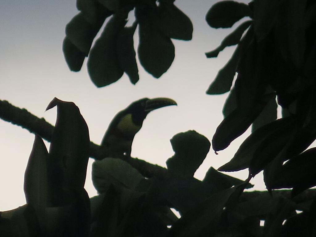 Hostel Y Posada Colibri Puerto Iguazú Exteriér fotografie