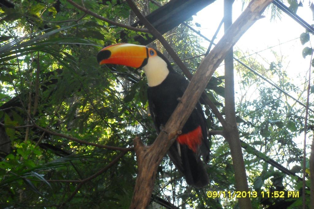 Hostel Y Posada Colibri Puerto Iguazú Exteriér fotografie