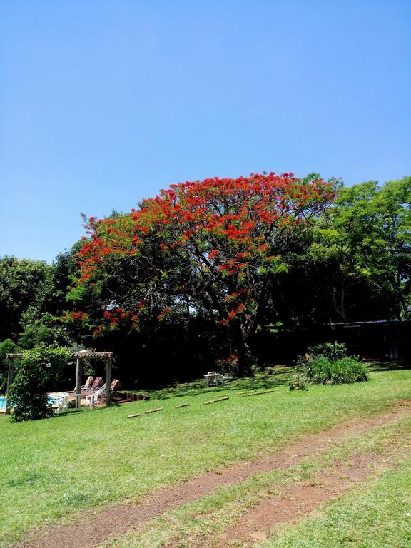 Hostel Y Posada Colibri Puerto Iguazú Exteriér fotografie